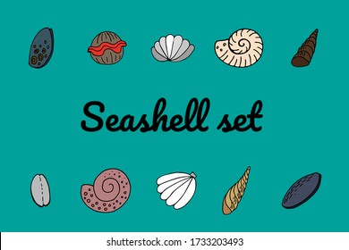 Seashell doodle color icons set. Hand drawn line vector illustration isolated on white background for logotype, infographic, website, menu or package design.