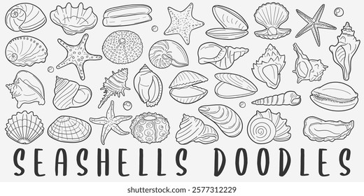 Seashell Doodle Icons. Hand Made Line Art. Beach Animal Shell Clipart Logotype Symbol Design.