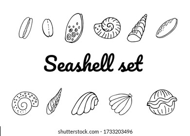 Seashell doodle icons set. Hand drawn line vector illustration isolated on white background for logotype, infographic, website, menu or package design.