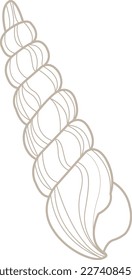 Seashell doodle illustration for decoration on marine life ,summer holiday and coastal concept. 