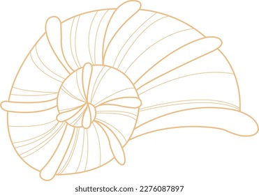 Seashell doodle illustration for decoration on marine life ,summer holiday and coastal concept.