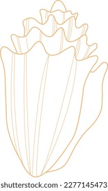 Seashell Doodle-Illustration für Dekoration über Meereslebewesen, Sommerurlaub und Küstenkonzept.