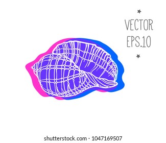 Seashell with double lighting, contrasting and colored shadows, summer. the skeleton of the drawing. Vector illustration