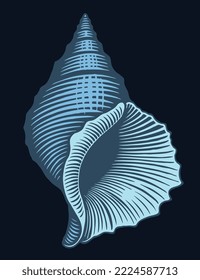 Seashell. Editable hand drawn illustration. Vector vintage engraving. Isolated on black background. 8 eps