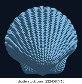 Seashell. Editable hand drawn illustration. Vector vintage engraving. Isolated on black background. 8 eps