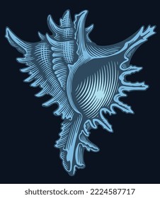 Seashell. Editable hand drawn illustration. Vector vintage engraving. Isolated on black background. 8 eps