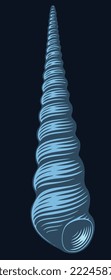 Seashell. Editable hand drawn illustration. Vector vintage engraving. Isolated on black background. 8 eps