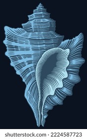 Seashell. Editable hand drawn illustration. Vector vintage engraving. Isolated on black background. 8 eps