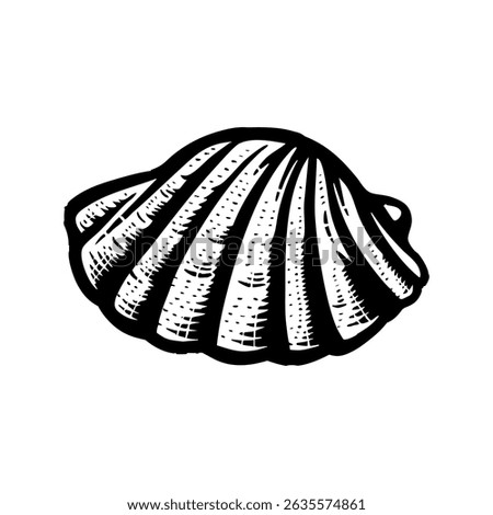 Seashell engraving with vintage aesthetic.