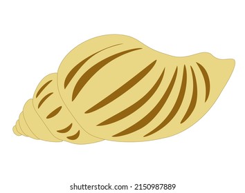 Seashell flat icon isolated on white background. Achatina Lissachatina fulica or Giant African land snail shell drawn logo. Painted marine gastropod mollusk clip art element, vector design eps 10