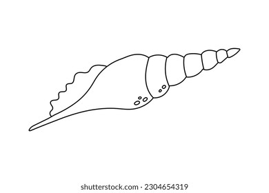seashell flat vector cartoon illustration. Shell icon on white background