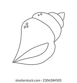 seashell flat vector cartoon illustration. Shell icon on white background