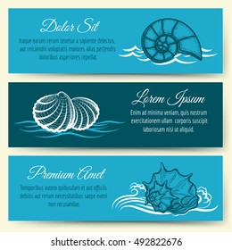 Seashell frame banners. Vector ocean beach and sea shell travel card templates