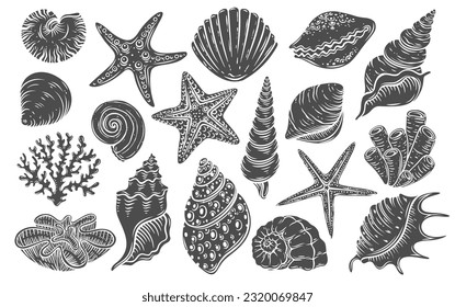 Seashell glyph icon vector illustration. Stamp of tropical marine animals with shells, underwater fauna of sea and ocean, aquarium collection with starfish and clam shell, shellfish mollusk and snail