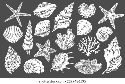 Seashell glyph icons set vector illustration. White stamps of undersea or beach life collection isolated on black, sea or ocean animals in shell, starfish and coral, cowrie and scallop seashell