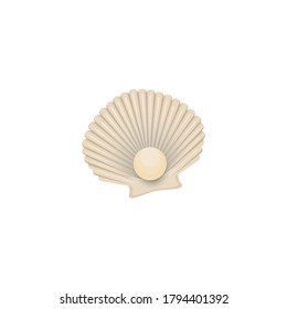 Muschelgoldvektor, weißer Hintergrund