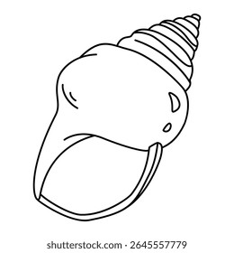 Concha. Arte desenhada à mão. Shell isolado. arte de linha de vetor