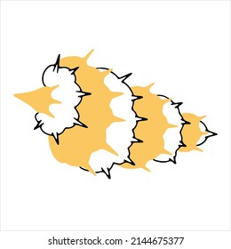 Seashell hand drawn doodle style. Vector illustration.