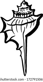 Seashell. Hand drawn illustration.  Black and white sketch.