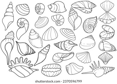 Seashell Hand Drawn Outline Illustration Collection