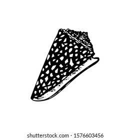 Seashell hand drawn sketch isolated on white. Black and white sea creature coloring page template. Vector illustration.