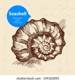Seashell hand drawn sketch. Vintage illustration