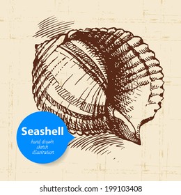 Seashell hand drawn sketch. Vintage illustration	