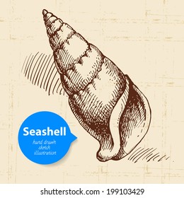 Seashell hand drawn sketch. Vintage illustration	