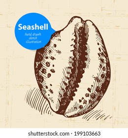 Seashell hand drawn sketch. Vintage illustration	