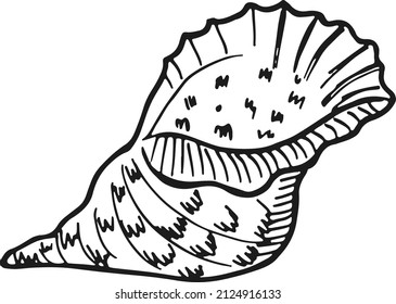 Seashell in hand drawn style. Marine symbol. Ocean beach shell