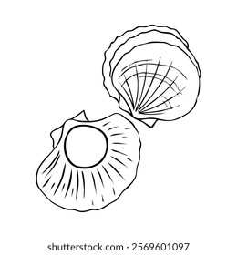 Seashell hand drawn vector, scallop graphic ink sketch isolated on white background, underwater artistic marine element design for greeting card, print design, cover page magazine, scrapbooking