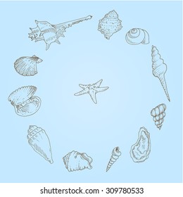 Seashell hand drawn vector set