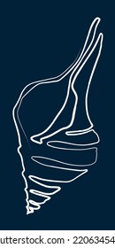 concha de mar, dibujada a mano en una línea. Silueta estricta. Ilustración vectorial blanca sobre un fondo azul oscuro. Contacto. Cartel, pintura interior, postal, diseño moderno
