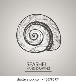 seashell handmade isolated on white background. Sketch of shell - Stock Vector