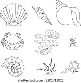 seashell, hard exoskeleton of marine mollusks such as snails, bivalves, and chitons that serves to protect and support their bodies. Seashells are an important part of coastal ecosystems.