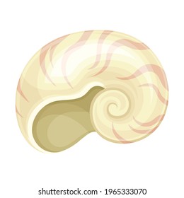Seashell as Hard Marine Snail Shell Vector Illustration
