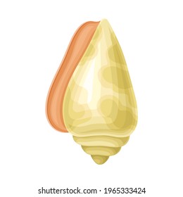 Seashell as Hard Marine Snail Shell Vector Illustration