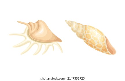 Seashell as Hard Marine Snail Shell Vector Set