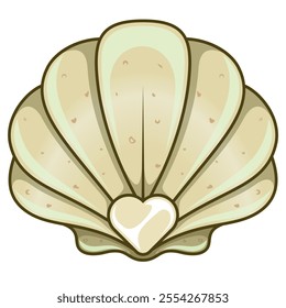 Seashell with heart in the center, fana marina scallop