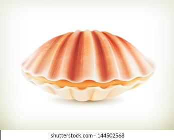 Seashell, high quality vector illustration