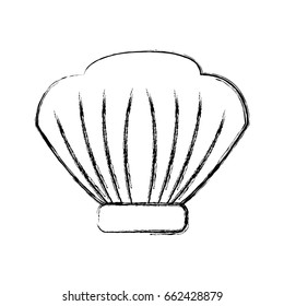 seashell icon image
