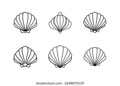 seashell icon line art vector illustration