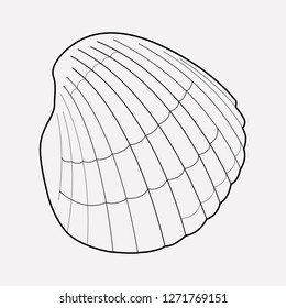 Seashell icon line element. Vector illustration of seashell icon line isolated on clean background for your web mobile app logo design.