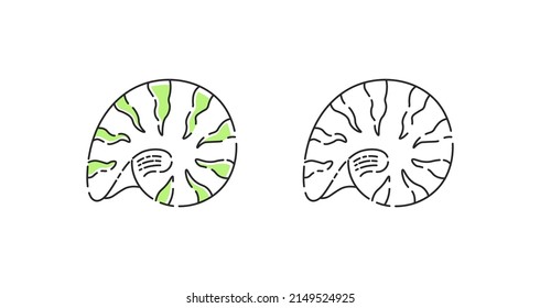 Seashell icon linear vector. Chambered nautilus shell logo symbol set in color and black. svg