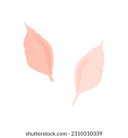seashell icon on a white background, vector illustration