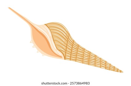 Seashell icon on white background. Vector illustration