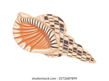 Seashell icon with pattern on white background. Vector illustration