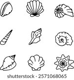 The seashell icon. A set of linear pearl shell icons. Vector icons of seashells. Black linear seashell icons