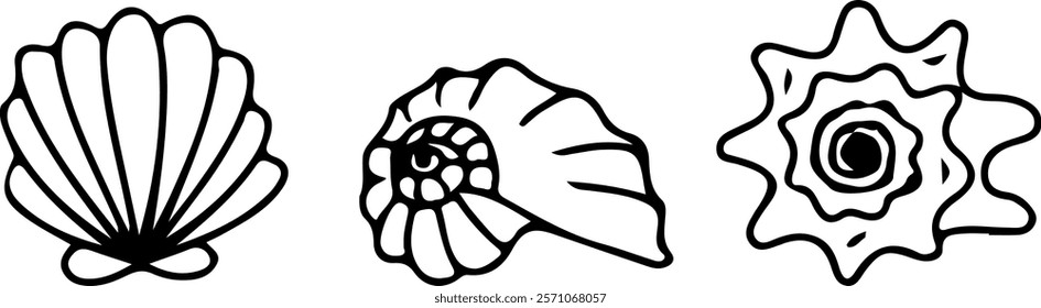 The seashell icon. A set of linear pearl shell icons. Vector icons of seashells. Black linear seashell icons