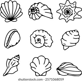 The seashell icon. A set of linear pearl shell icons. Vector icons of seashells. Black linear seashell icons